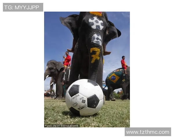 足球监狱球星逆袭记从铁窗到绿茵场的传奇人生