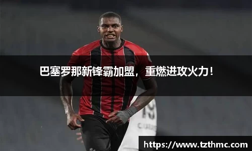 mk体育官网登录平台
